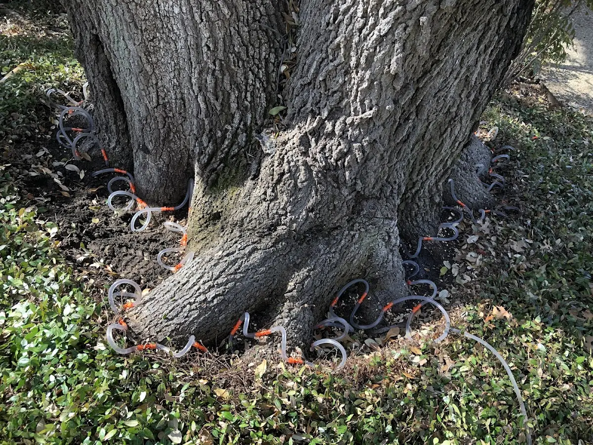 Detailed Shrub and Hedge Trimming job site in Powers