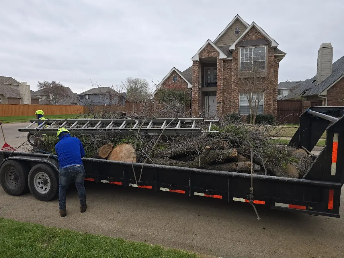 Expert Lot Clearing with proper safety equipment in Powers